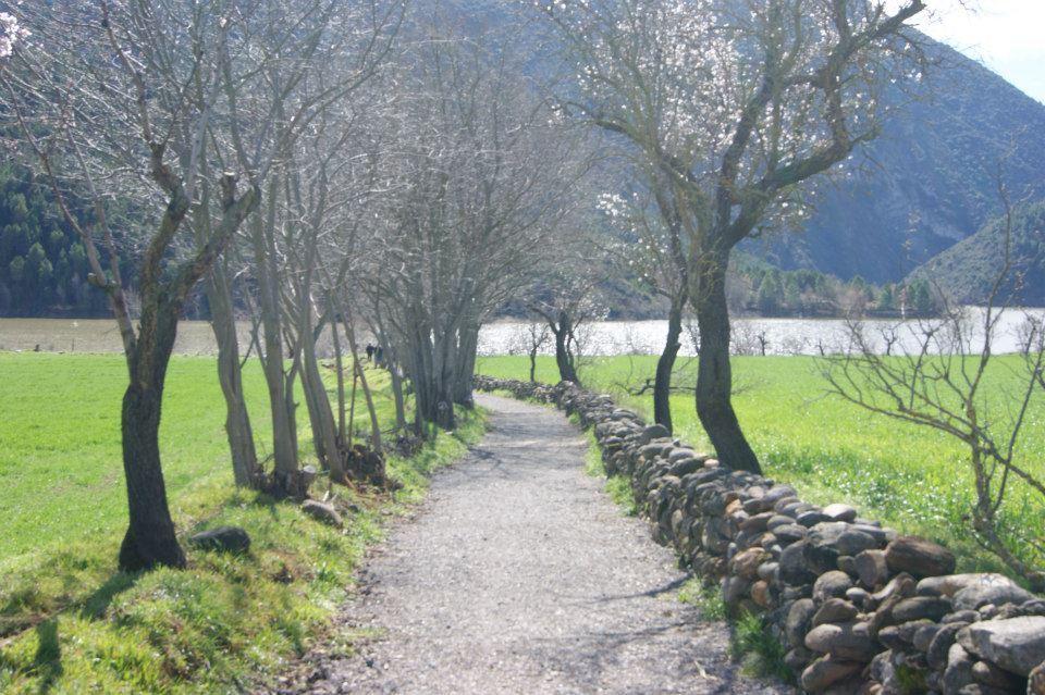 Coll de NargóCal Remolinsアパートメント エクステリア 写真